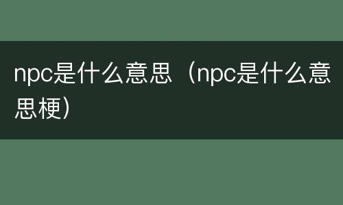 npc是什么意思（npc是什么意思梗）
