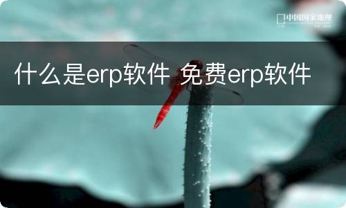 什么是erp软件 免费erp软件