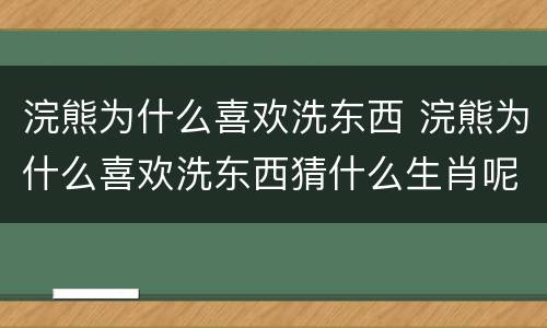 浣熊为什么喜欢洗东西 浣熊为什么喜欢洗东西猜什么生肖呢