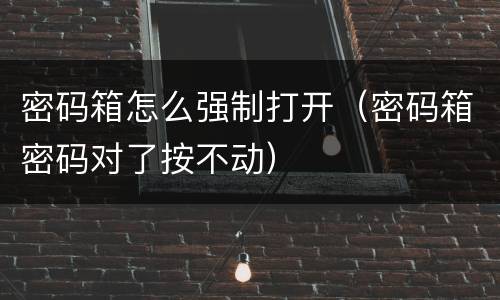 密码箱怎么强制打开（密码箱密码对了按不动）
