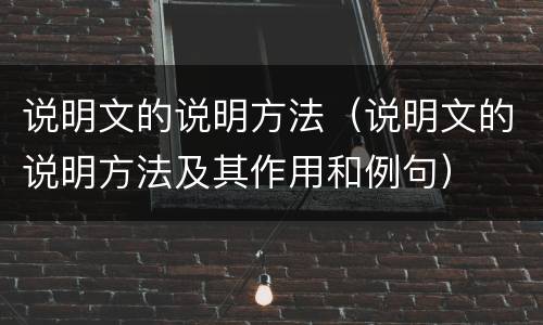 说明文的说明方法（说明文的说明方法及其作用和例句）