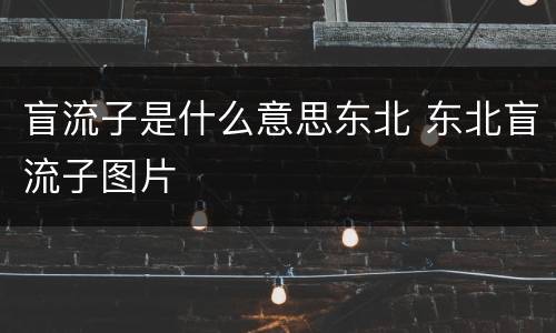 盲流子是什么意思东北 东北盲流子图片