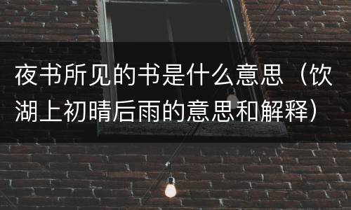 夜书所见的书是什么意思（饮湖上初晴后雨的意思和解释）