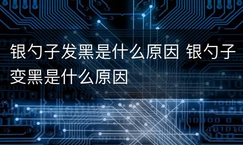 银勺子发黑是什么原因 银勺子变黑是什么原因