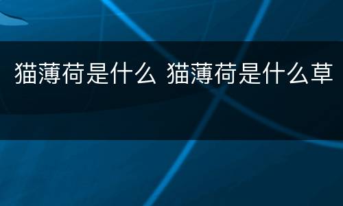 猫薄荷是什么 猫薄荷是什么草