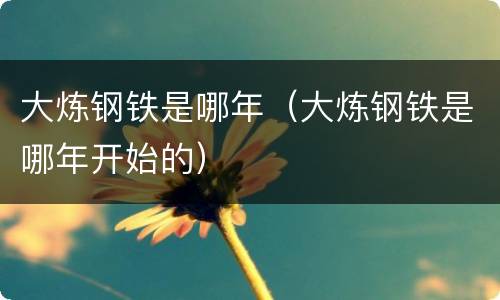 大炼钢铁是哪年（大炼钢铁是哪年开始的）