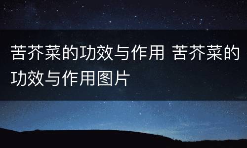 苦芥菜的功效与作用 苦芥菜的功效与作用图片