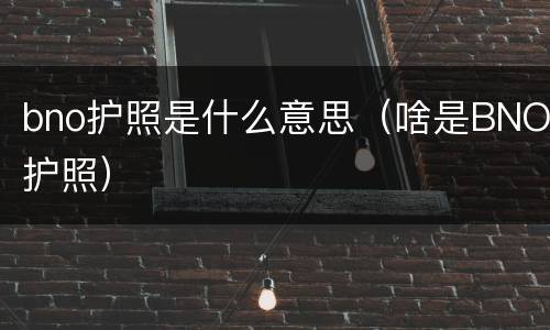 bno护照是什么意思（啥是BNO护照）
