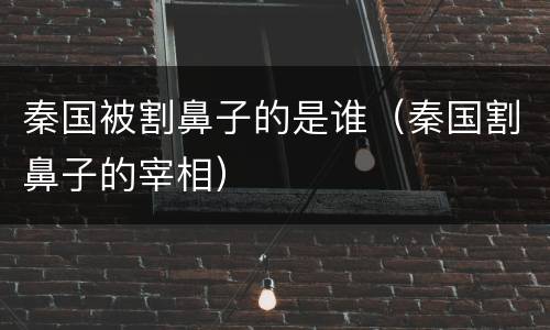 秦国被割鼻子的是谁（秦国割鼻子的宰相）