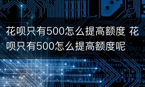 花呗只有500怎么提高额度 花呗只有500怎么提高额度呢
