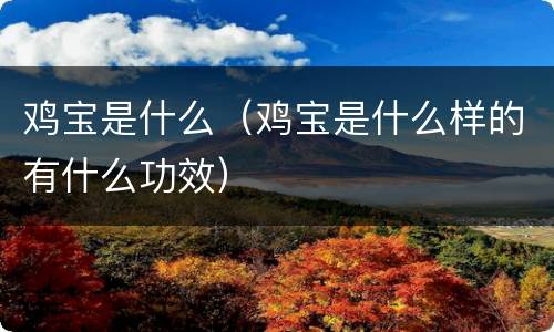 鸡宝是什么（鸡宝是什么样的有什么功效）