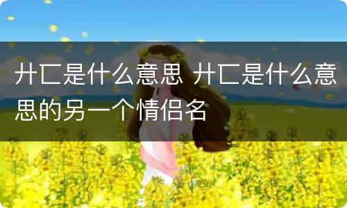 廾匸是什么意思 廾匸是什么意思的另一个情侣名