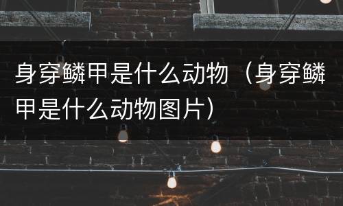 身穿鳞甲是什么动物（身穿鳞甲是什么动物图片）