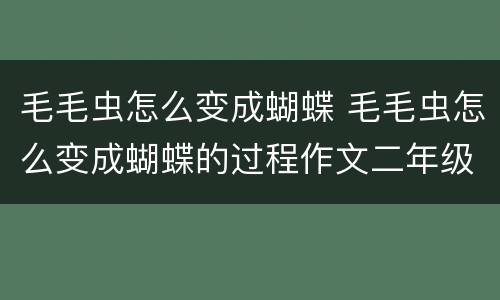 毛毛虫怎么变成蝴蝶 毛毛虫怎么变成蝴蝶的过程作文二年级