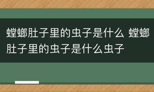 螳螂肚子里的虫子是什么 螳螂肚子里的虫子是什么虫子