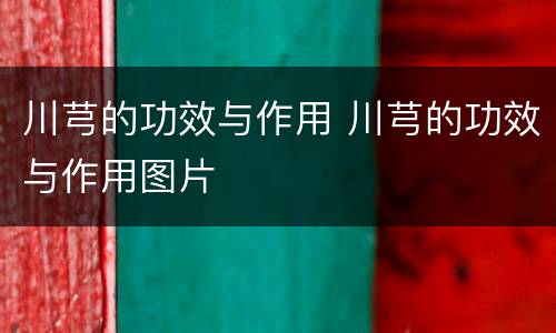 川芎的功效与作用 川芎的功效与作用图片