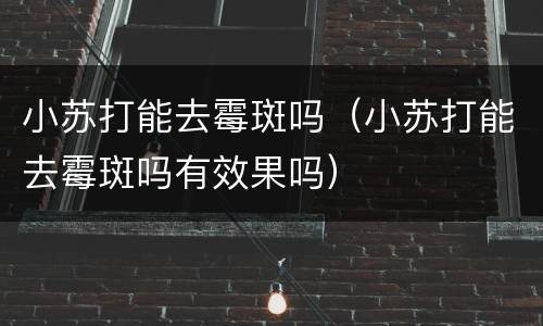 小苏打能去霉斑吗（小苏打能去霉斑吗有效果吗）