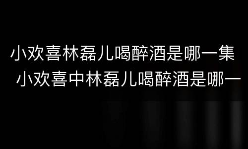 小欢喜林磊儿喝醉酒是哪一集 小欢喜中林磊儿喝醉酒是哪一集