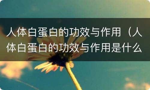 人体白蛋白的功效与作用（人体白蛋白的功效与作用是什么）