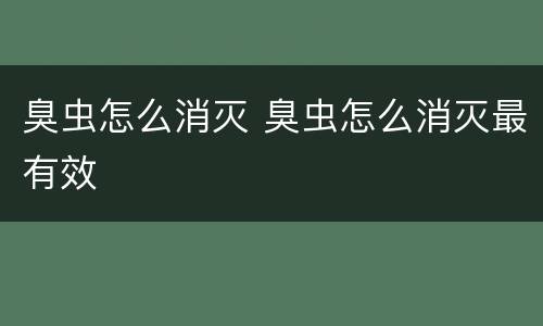 臭虫怎么消灭 臭虫怎么消灭最有效