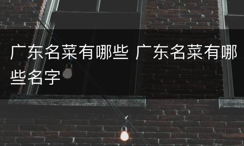 广东名菜有哪些 广东名菜有哪些名字