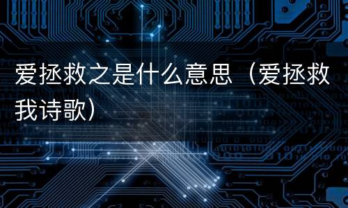 爱拯救之是什么意思（爱拯救我诗歌）