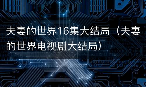 夫妻的世界16集大结局（夫妻的世界电视剧大结局）