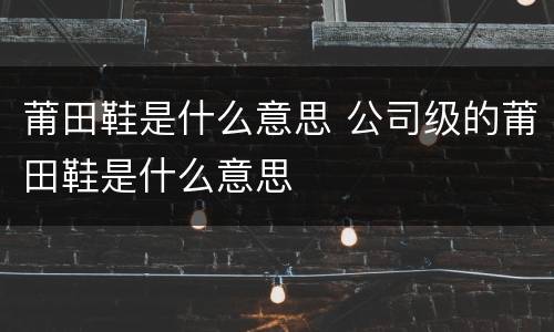 莆田鞋是什么意思 公司级的莆田鞋是什么意思