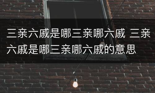三亲六戚是哪三亲哪六戚 三亲六戚是哪三亲哪六戚的意思