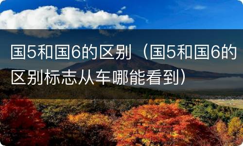 国5和国6的区别（国5和国6的区别标志从车哪能看到）