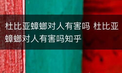 杜比亚蟑螂对人有害吗 杜比亚蟑螂对人有害吗知乎