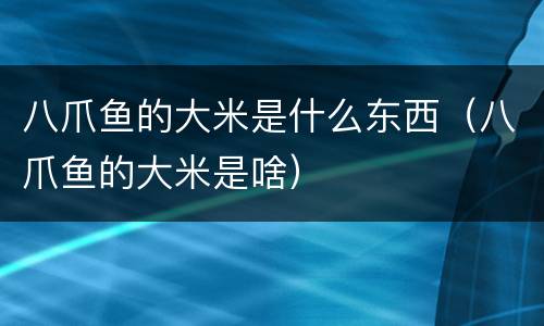 八爪鱼的大米是什么东西（八爪鱼的大米是啥）