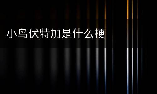 小鸟伏特加是什么梗