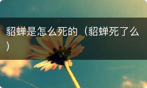 貂蝉是怎么死的（貂蝉死了么）