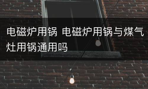 电磁炉用锅 电磁炉用锅与煤气灶用锅通用吗