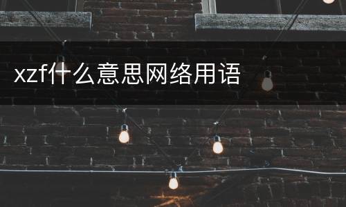 xzf什么意思网络用语
