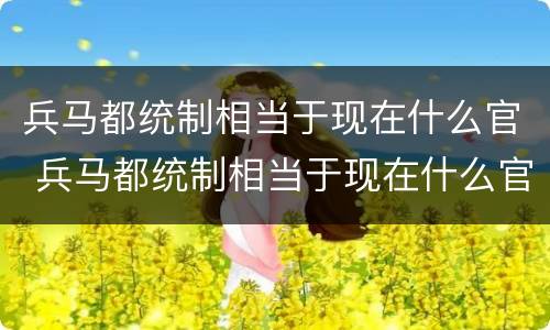 兵马都统制相当于现在什么官 兵马都统制相当于现在什么官职