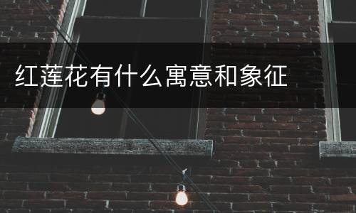 红莲花有什么寓意和象征