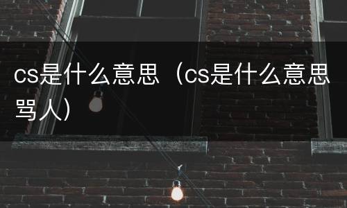 cs是什么意思（cs是什么意思骂人）