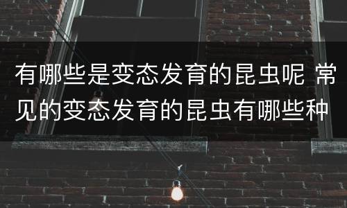 有哪些是变态发育的昆虫呢 常见的变态发育的昆虫有哪些种类