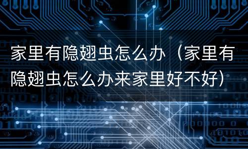 家里有隐翅虫怎么办（家里有隐翅虫怎么办来家里好不好）