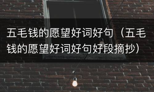 五毛钱的愿望好词好句（五毛钱的愿望好词好句好段摘抄）