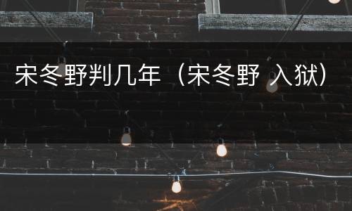 宋冬野判几年（宋冬野 入狱）