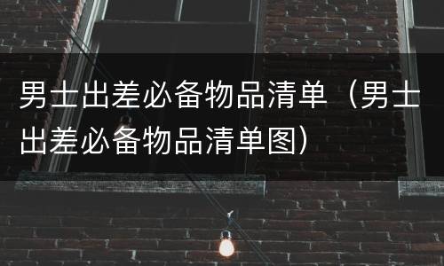 男士出差必备物品清单（男士出差必备物品清单图）