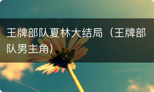 王牌部队夏林大结局（王牌部队男主角）