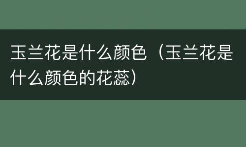 玉兰花是什么颜色（玉兰花是什么颜色的花蕊）
