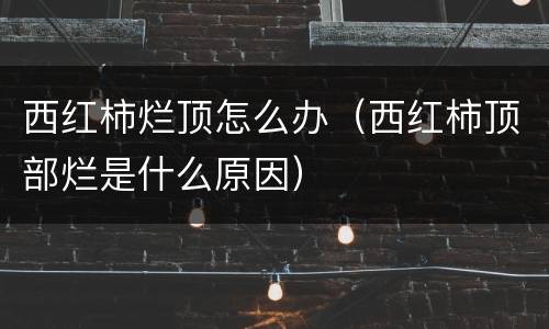 西红柿烂顶怎么办（西红柿顶部烂是什么原因）