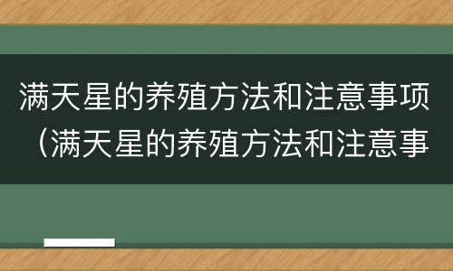 满天星的养殖方法和注意事项（满天星的养殖方法和注意事项 盆栽）