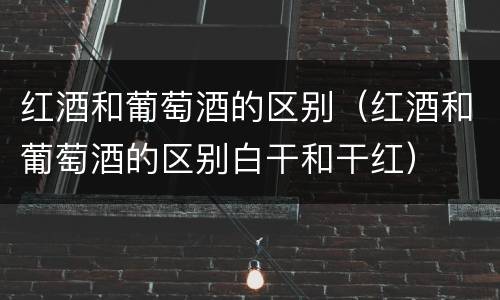 红酒和葡萄酒的区别（红酒和葡萄酒的区别白干和干红）