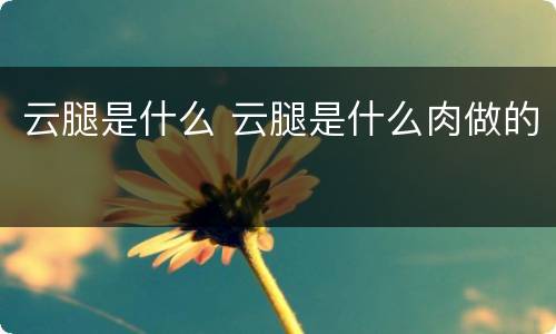 云腿是什么 云腿是什么肉做的